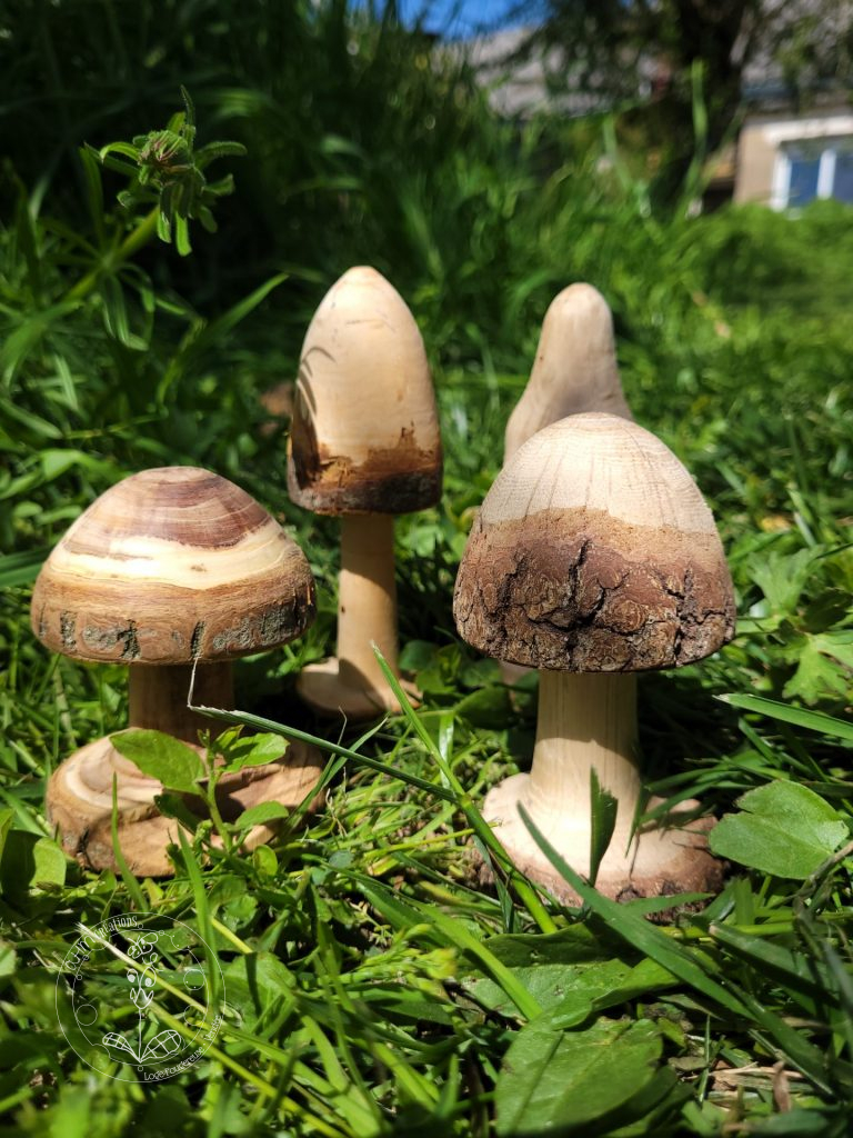 Champignons en Bois Brut • © AHM Créations