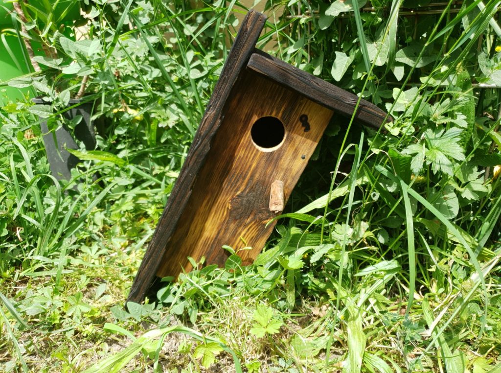 Nichoir Oiseaux Pisa circle • © AHM Créations