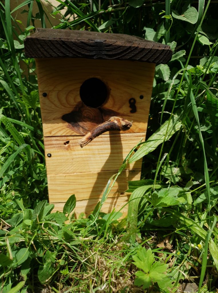 Nichoir Oiseaux Cinque Terre • © AHM Créations