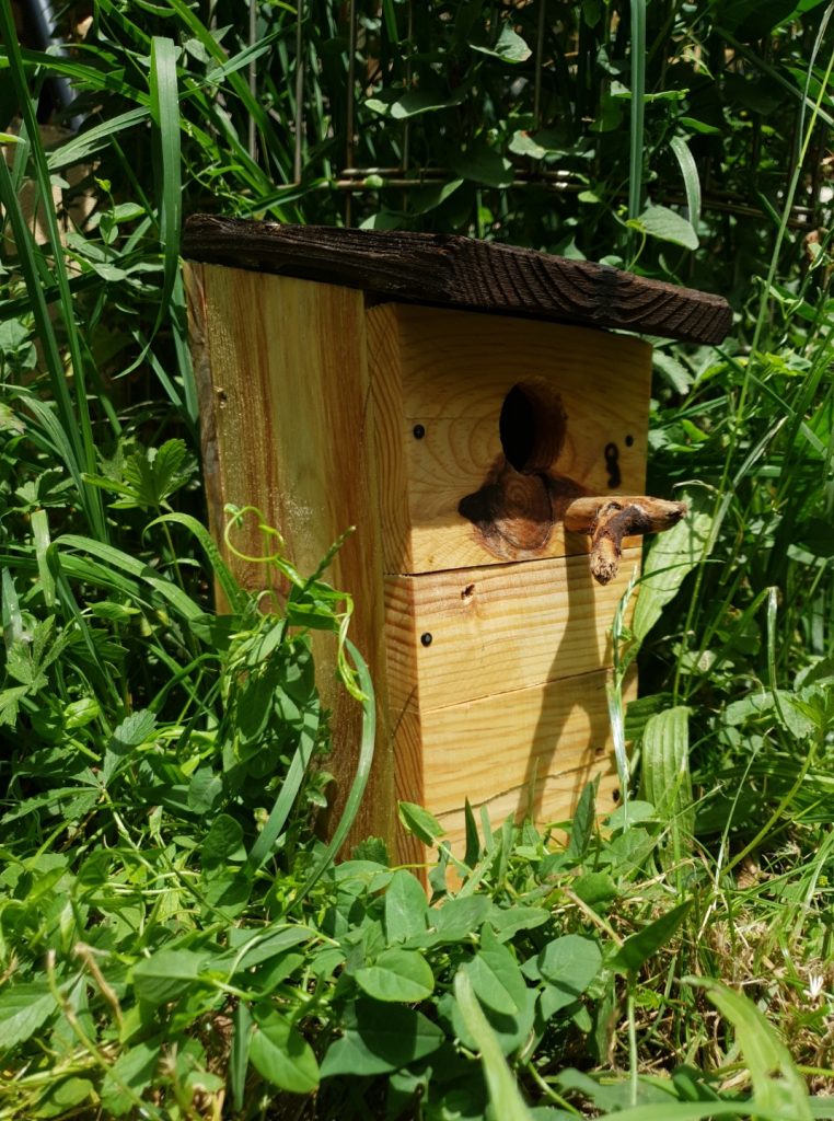 Nichoir Oiseaux Cinque Terre • © AHM Créations