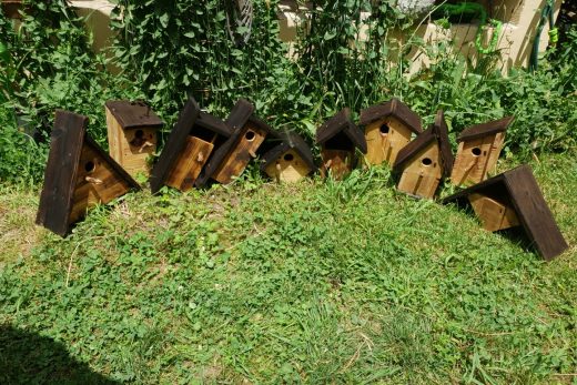 Collection Nichoir Oiseaux • © AHM Créations