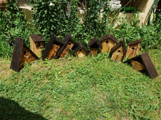 Collection Nichoir Oiseaux • © AHM Créations